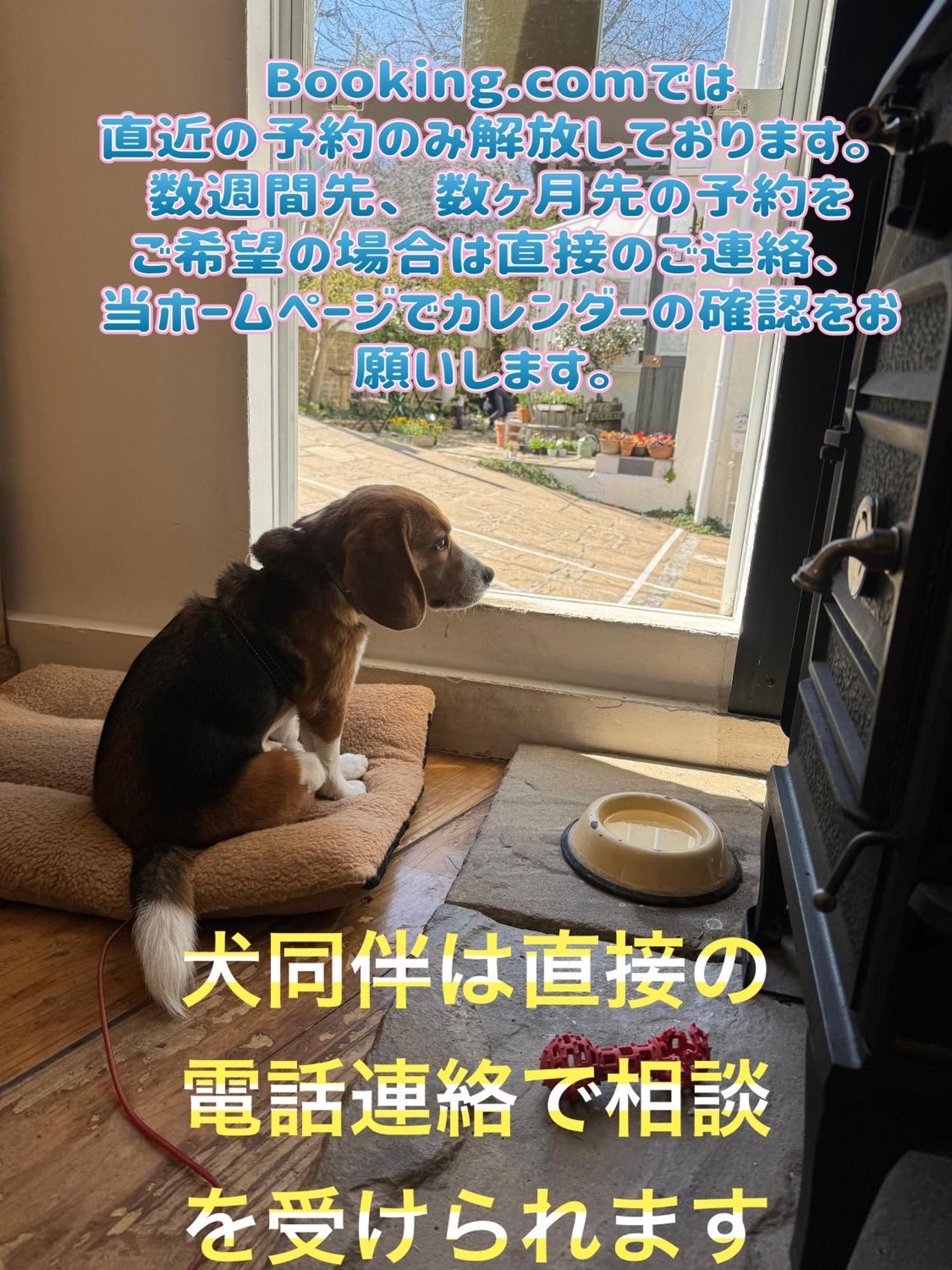 Kamakurayama Holiday Flat Eksteriør bilde